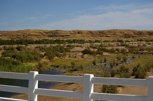 202 Namibia Okt 2006 .JPG